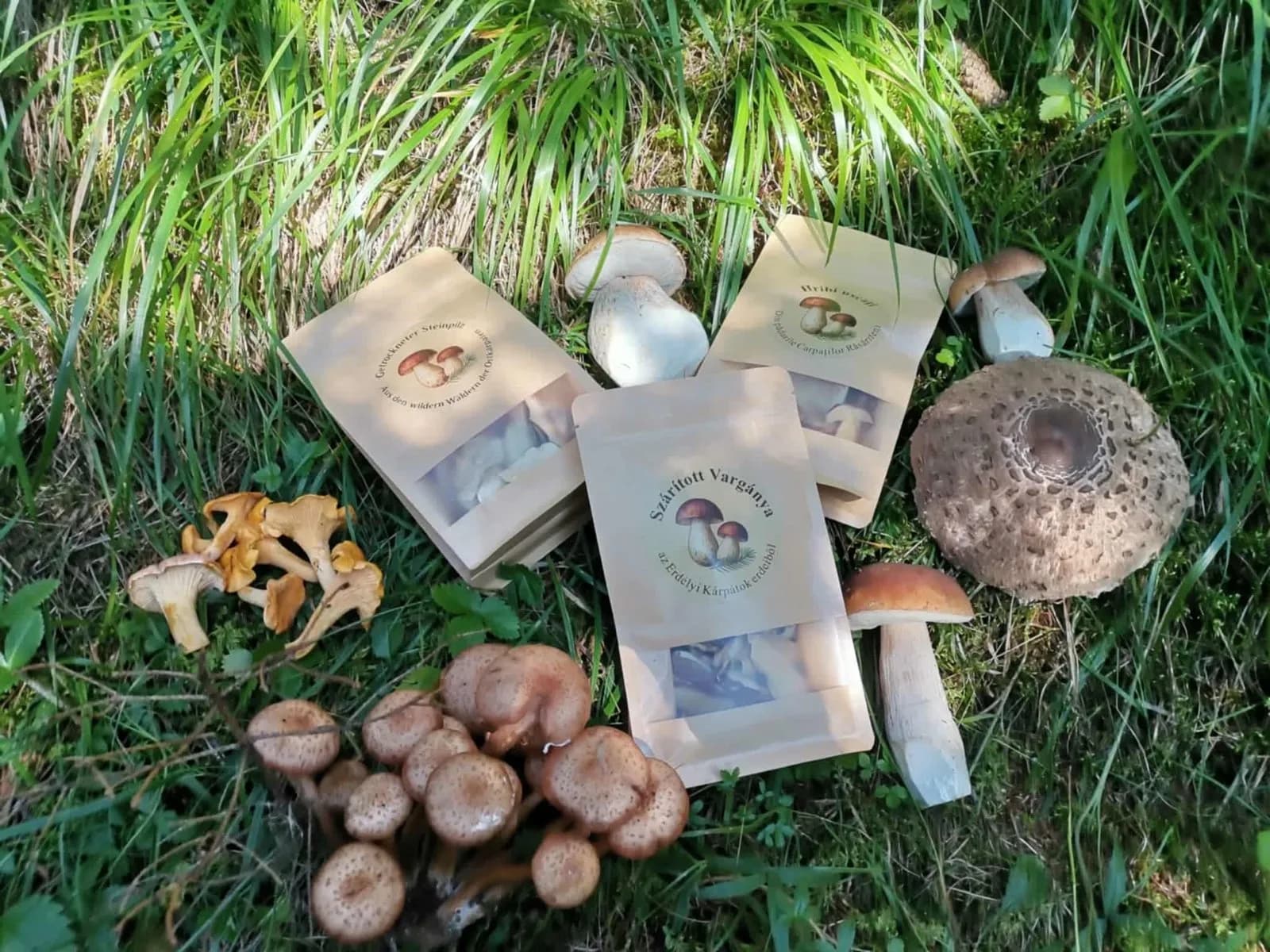 Nem mindegy, miből készül a szárított gomba!