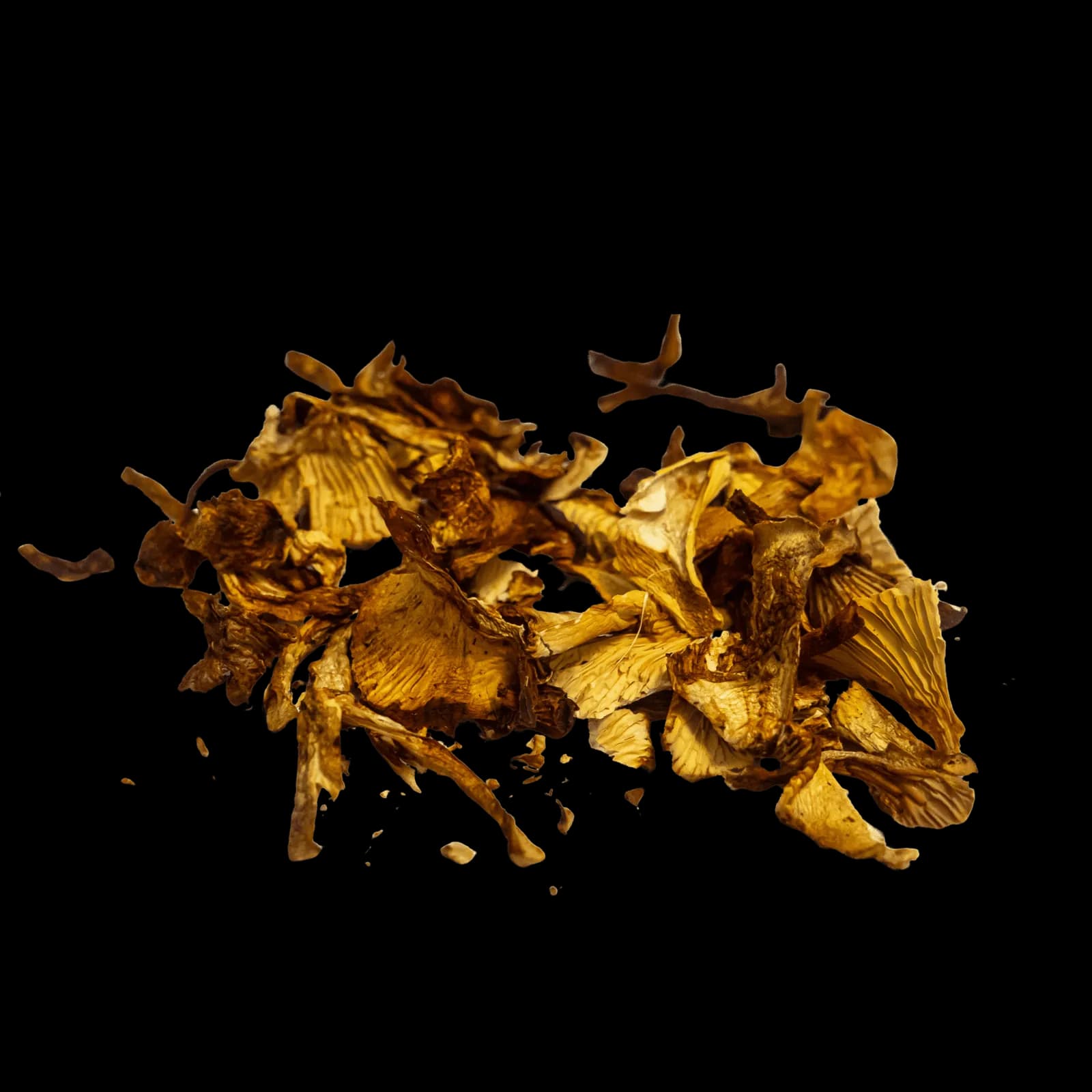 100% Dried Chanterelles (Cantharellus cibarius) 5