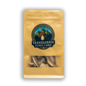 100% Szárított Vargánya (Boletus edulis)