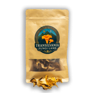 100% Szárított Rókagomba (Cantharellus cibarius)