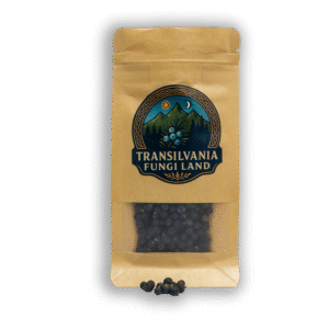 Borókabogyó (Juniperus communis)